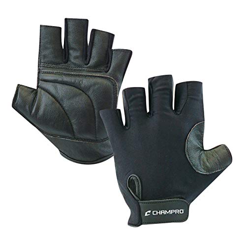 Champro Padded Catcher's Glove (Black, One size fits all)