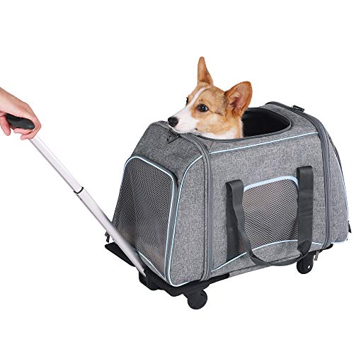 Petsfit Not Airline Approved Pet Rolling Carrier with Removeable Wheels for Pets up to 22 Pounds, 23' Lx13 Wx14 H