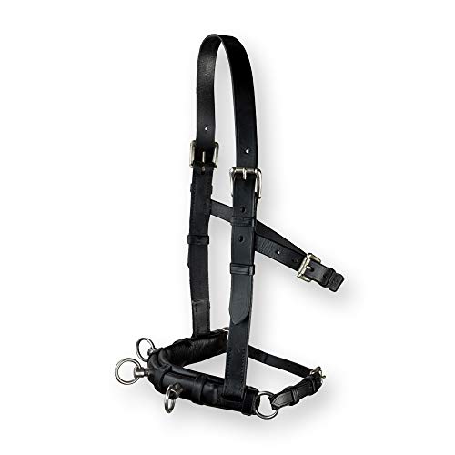 DP Saddlery's Leather Schooling Cavesson | Stainless Steel Hardware & Supple All-Natural Black Nappa Leather | 4 Buckle Adjustable Straps | English Style Horse Training & Lunging Equipment | 0240