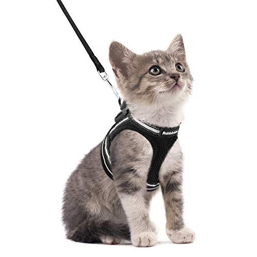 rabbitgoo Cat Harness and Leash Set for Walking Escape Proof, Adjustable Soft Kittens Vest with Reflective Strip for Cats, Step-in Comfortable Outdoor Vest, Black, S (Chest:9.0'-12.0')