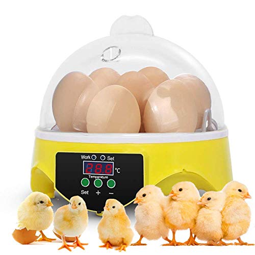 Xuliyme Digital 7 Mini Egg Incubator Fully Automatic Poultry Hatcher Machine with Temperature Control, General Purpose Incubators for Chickens Ducks Birds