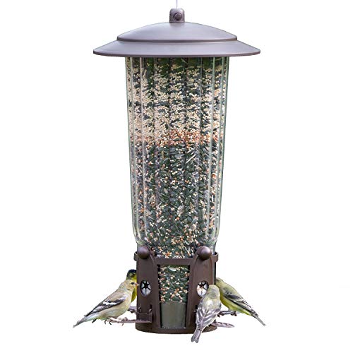 Perky-Pet 334 Squirrel-Be-Gone Max Bird Feeder – 4 Lb