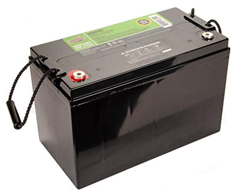 Interstate Batteries 12V 110 AH SLA / AGM Deep Cycle Battery 12V for Solar, Wind, and RV Applications - Insert Terminals (DCM0100) Works with 100AH battery applications