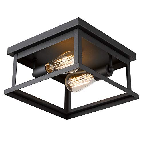 Emliviar Flush Mount Light Fixture, 2-Light 11-inch Ceiling Light in Black Finish, 1803EW1-F1 BK