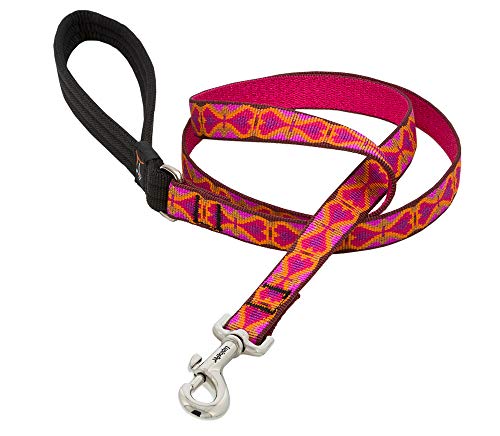 LupinePet Originals 3/4' Heart 2 Heart 6-foot Padded Handle Leash for Medium and Larger Dogs