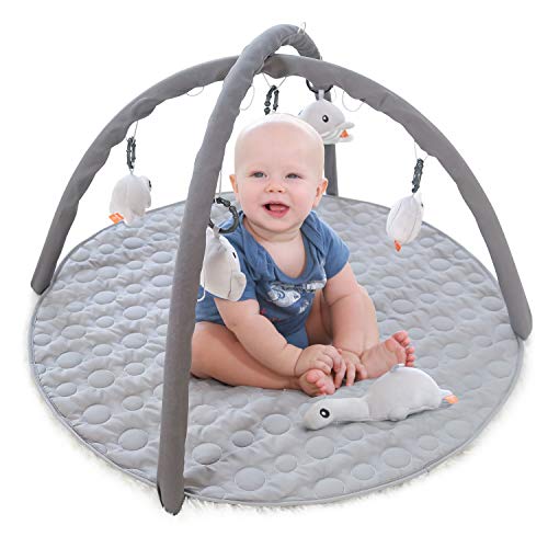 ANGELBLISS Infant Activity Gym and Baby Play Mat for Tummy Time, Educational Play Activity Center Stimulation Baby's Growth, Shower Gift for 0-18 Months Newborn (Grey)