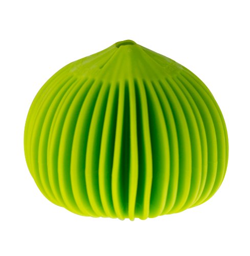 Koopeh Designs HIC Harold Import Co. The Garlic Peeler, Silicone, Lime Green, 1