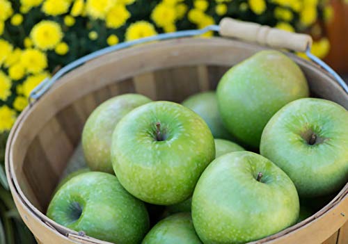 Granny Smith Apples Gift Box (14 Apples)