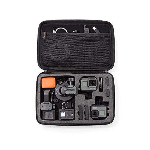 AmazonBasics Large Carrying Case for GoPro And Accessories - 13 x 9 x 2.5 Inches, Black