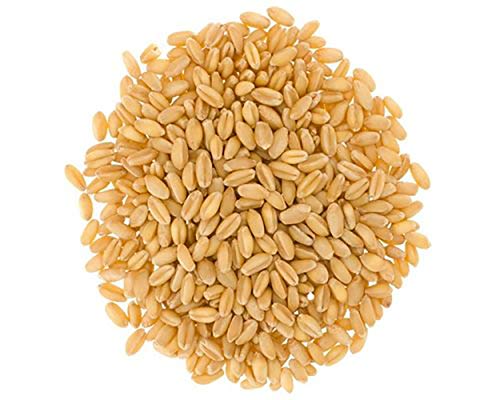 Hard White Wheat Berries • 100% Desiccant Free • 25 lbs • Non-GMO Project Verified • Kosher Parve • USA Grown • Field Traced • Poly Bag