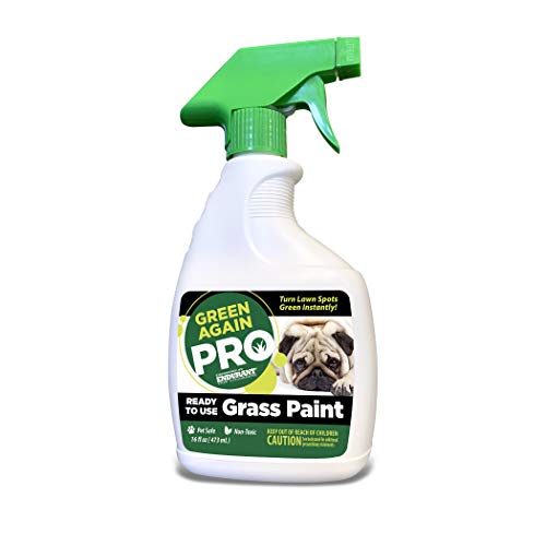 Pre-Mixed Grass and Turf Paint - All Natural Pet-Friendly Lawn Colorant Turns Spots Green Again with Eco-Friendly Point-and-Spray Application (16 oz) (Warm Season Grasses)