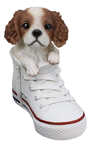 Ebros 'Paw-Star' Pups Lifelike Realistic Puppy Dog in Sneaker Chucks Shoe Statue Pedigree Breed Dogs Puppies Collectible Decor with Glass Eyes Pet Memorial Figurine (King Charles Cavalier Spaniel)