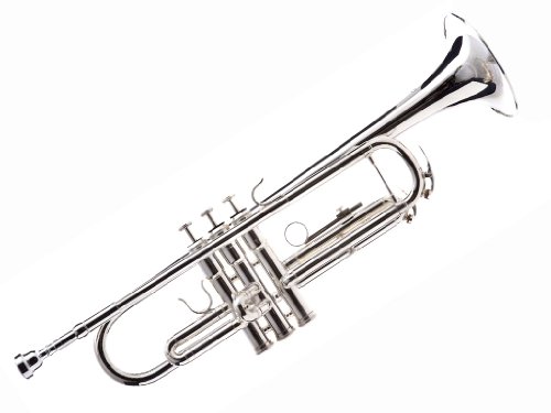 Hawk WD-T313 Bb Trumpet with Case and Mouthpiece, Silver Plated