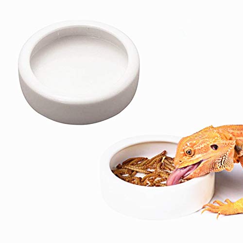 DoubleWood Terrarium Bowls Reptile Food Bowl Worm Dish Mini Reptile Food Ceramics Water Bowl for Lizard Anoles Bearded Dragons Crested Gecko Hermit Crabs Triangular Leopard Gecko Chameleon (PACK of 2)
