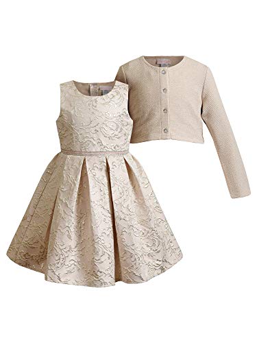 Youngland Girls Special Occasion Holiday Dress, Gold, 2T
