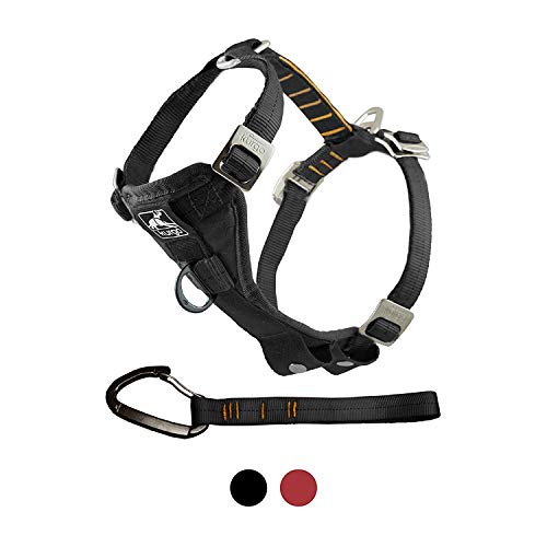 Kurgo Dog Harness | Car Harness for Dogs | Medium | Black | Pet Safety Seat Belt | Certified Crash Tested Harness | Car Seatbelt | Tru-Fit Enhanced Strength Style