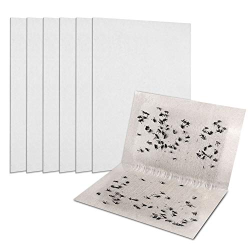 Kensizer 20-Pack House Fruit Flies Catcher Board Sticky Glue Paper Traps for Houseflies and Blowflies, Fly Killer for Kitchen Indoor