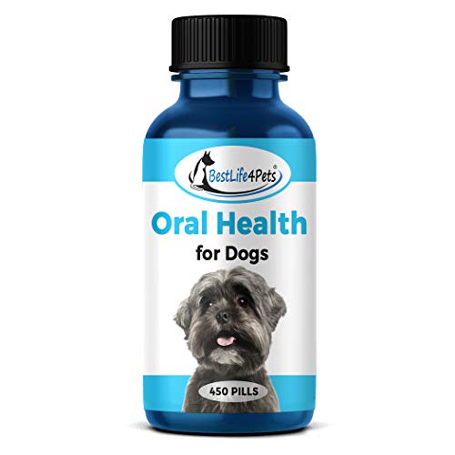 BestLife4Pets Oral Health for Dogs Dental Remedy - Highly Effective Natural Treatment for Inflammatory & Ulcerative Ailments, Stomatitis and Gingivitis. No Smell, No Side Effects