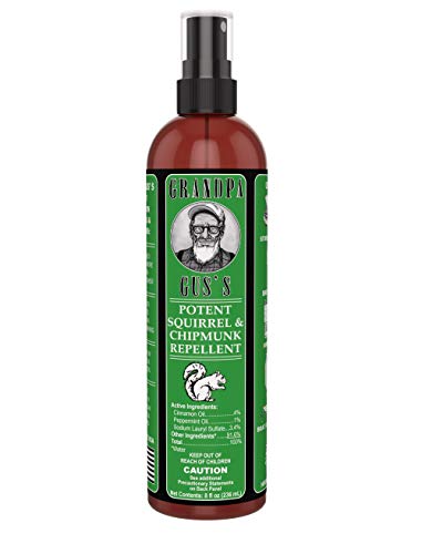 Grandpa Gus's GCC-8-15 Potent Squirrel & Chipmunk Repellent, Water-Based Peppermint/Cinnamon Oil Mix Spray Protects Home, Garden and Wirings, Non-Toxic, Safe To Use Around Kids & Pets, 8oz Bottle