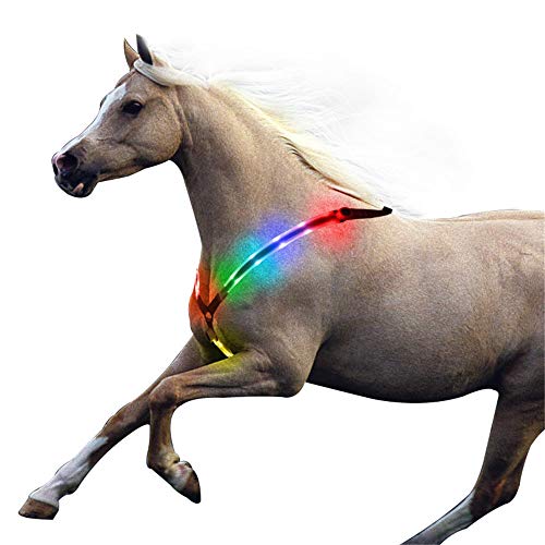 hokistudio Horse Breastplate Collar Bridle Halter with USB Rechargeable, LED Breast Collar for Horse Riding in Night-Highly Visible Safety Equestrian Protective Gear