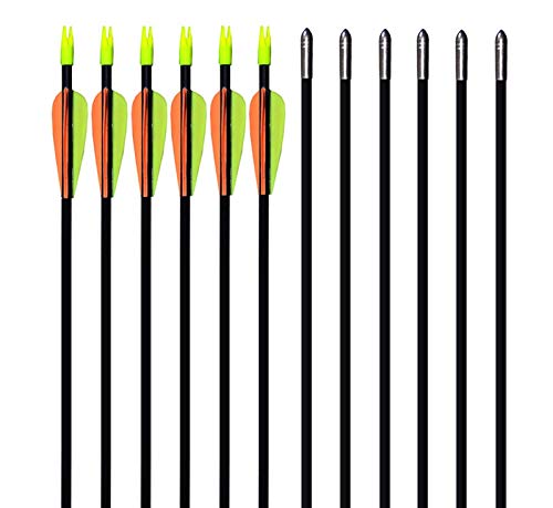 GPP 28' Fiberglass Archery Target Arrows - Practice Arrows or Youth Arrows for Recurve Bow- 12 Pack