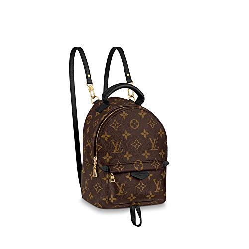 Louis Vuitton Palm Springs Mini Backpack M44873