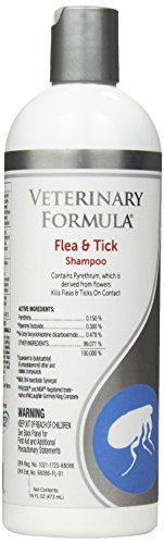 Veterinary Formula Clinical Care Flea and Tick Shampoo for Dogs and Cats, 16 oz – With Pyrethrum to Kill Fleas and Ticks On Contact – Cleanses and Exfoliates