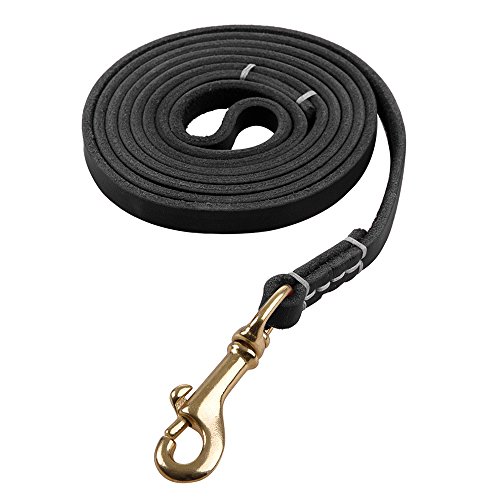 Reopet 4 Feet Real Genuine Leather Small & Medium Dog Leash - Black,3/8' X 4'