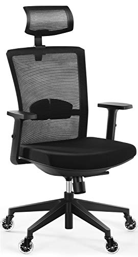Tribesigns Ergonomic Office Chair with 2D Adjustable Headrest,High Back Mesh Desk Chair with Lumbar Support, Skate Style Wheels, Thick Seat Cushion