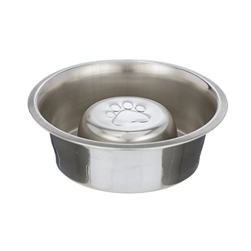 Neater Pet Brands Slow Feed Bowl Stainless Steel (4 Cup) Fits in Large Neater Feeders and Most 2 Quart Feeders