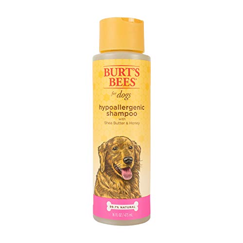 Burt's Bees for Pets for Dogs Natural Hypoallergenic Shampoo with Shea Butter and Honey| Puppy and Dog Shampoo, 16 Ounces, 473 ml (FF4849)