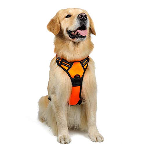 rabbitgoo Dog Harness,No-Pull Pet Harness with 2 Leash Clips,Adjustable Soft Padded Dog Vest,Reflective No-Choke Pet Oxford Vest with Easy Control Handle for Large Breeds,Orange (L, Chest 20.5-36')
