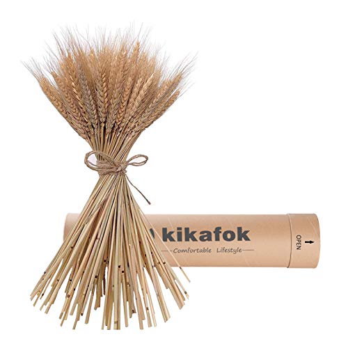 kikafok hegufeng 100 Stems Dried Wheat Stalks, Golden Natural Dried Wheat Sheaves Fall Arrangement Wheat Bouquet Bundle Flower for DIY Home Table Wedding Xmas Decor (16in)