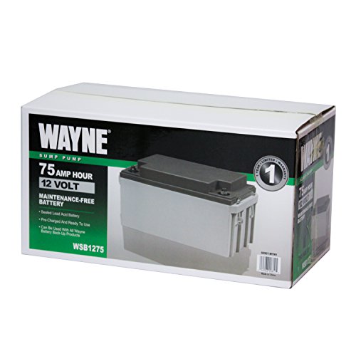Wayne WSB1275 75Ah Maintenance-Free Battery Recommended for Wayne ESP25, Wayne WSS30VN and Wayne Basement Guardian