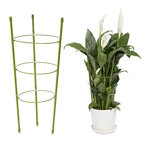 YiTai Plant Support Cages 17.7 Inches Plant Cages with 3 Adjustable Rings, Supporter Climbing Plants