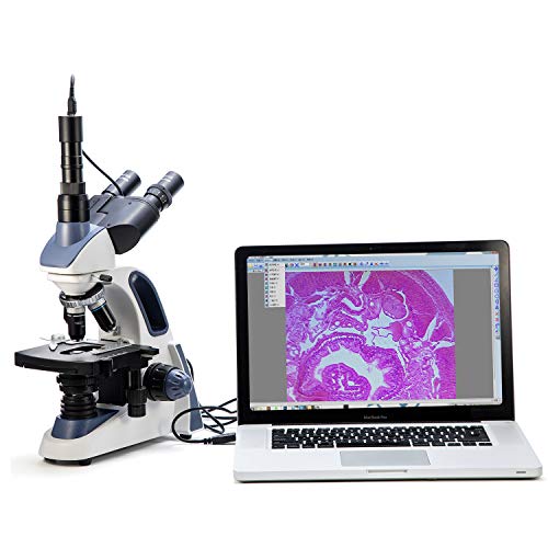 Swift Compound Trinocular Microscope SW380T,40X-2500X Magnification,Siedentopf Head,Research-Grade,Two-Layer Mechanical Stage with 5MP Camera and Software Windows and Mac Compatible