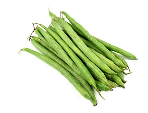 Burpee Stringless Green Bean Seeds, 50+ Premium Heirloom Seeds, High Yields, Bush Bean, (Isla's Garden Seeds), Non GMO, 90% Germination, Highest Quality