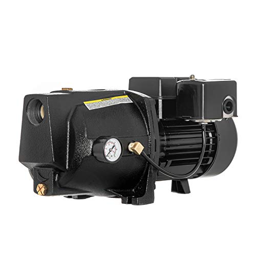 RainBro 1 HP Cast Iron Shallow well jet pump for wells up to 25 ft, shallow well water pump, Model# CSW100