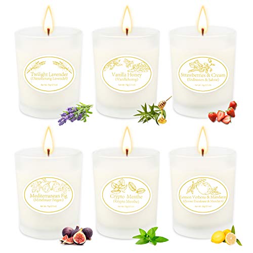 Aromatherapy Candles for Home Scented Rich and Burn Long Lasting, Scented Candle Sets for Women Gift, Essential Oil Soy Candle for Home Decor, Glass Jar 2.5 Oz x 6 Pack