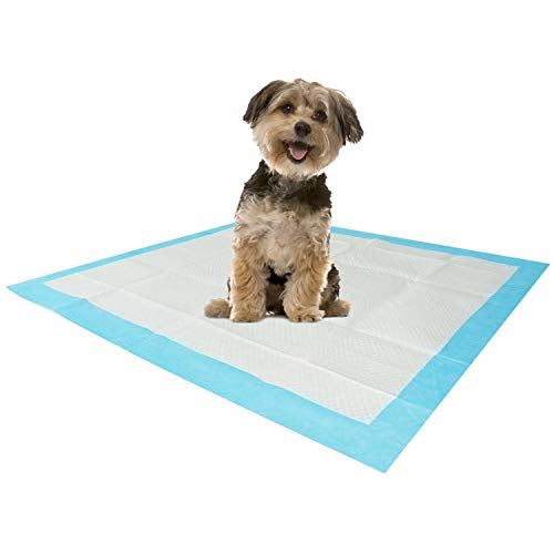 Stella Puppy Training UnderPads Super Absorbent Large Doggie Pet Incontinence Bedding and Furniture Protection Disposable Pad 22 x 23, 100 Count.