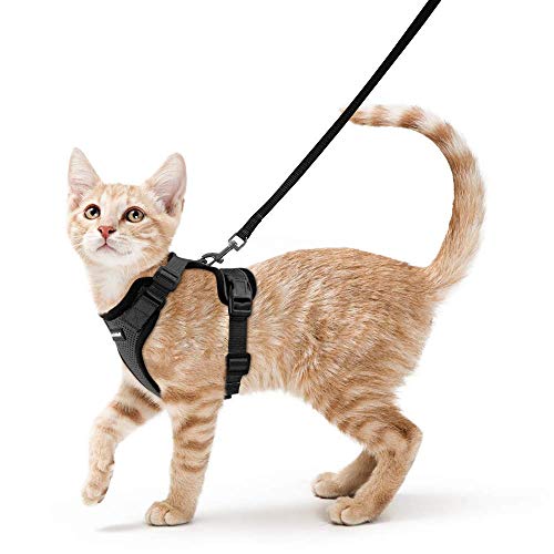 rabbitgoo Cat Harness and Leash for Walking, Escape Proof Soft Adjustable Vest Harnesses for Cats, Easy Control Breathable Reflective Strips Jacket, Black, XS (Chest: Chest: 13.5'-16')
