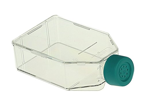 Nest Scientific 707003 Polystyrene Cell Culture Flask, Vent Cap, Tissue Culture Treated, Sterile, 25 cm², Clear, 10 per Pack, 200 per Case (Pack of 200)
