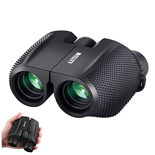 SGODDE Compact Binoculars for Adult Kids 10x25 Waterproof Binocular Weak Light Night Vision Folding High Powered Clear Binoculars Lightweight Bird Watching