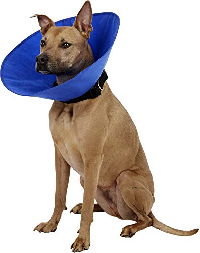 Alfie Pet - Soft Recovery Collar (for Dogs & Cats) - Color: Blue, Size: L