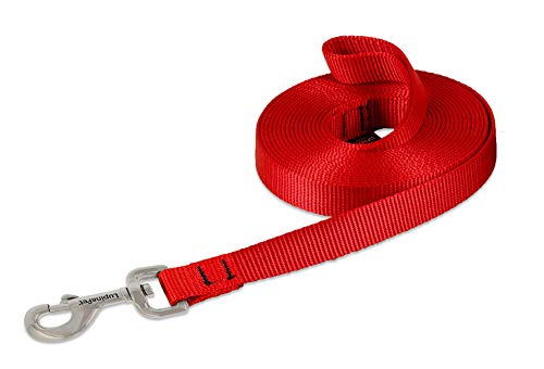 LupinePet Basics 3/4' Red 15-Foot Extra-Long Training Lead/Leash for Medium and Larger Dogs