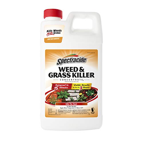 Spectracide Weed & Grass Killer Concentrate, 64 Fl Oz