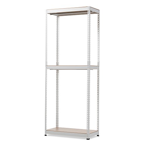 Baxton Studio Emeline Metal 3-Shelf Closet Storage Racking Organizer, White