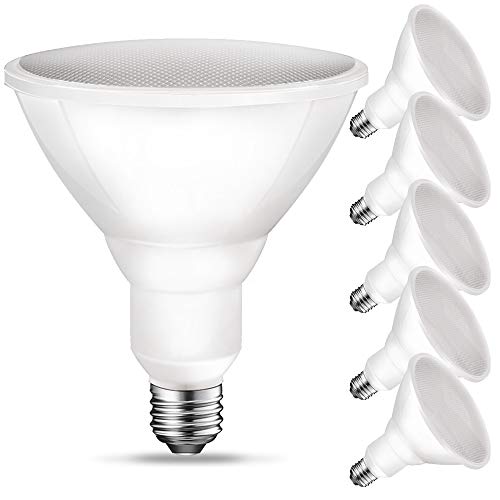 PAR38 LED Flood Outdoor Light Bulb, 5000K Daylight, 90 Watt Equivalent (11W), Wet Rated, 900LM, E26 Base, Non-Dimmable, UL, 6 Pack