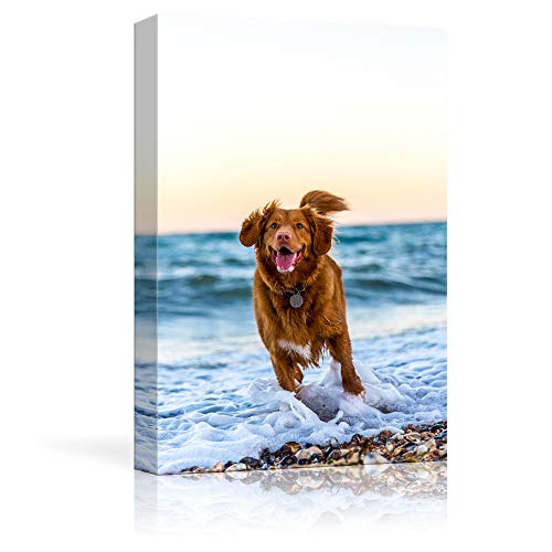 NWT Custom Canvas Prints with Your Photos for Pet/Animal, Personalized Canvas Pictures for Wall to Print Framed 10x8 inches