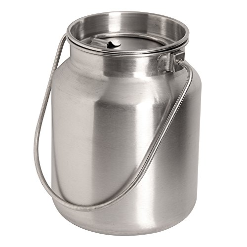 Lindy's Gallon Stainless Steel metal jug, 1 gallon, Silver